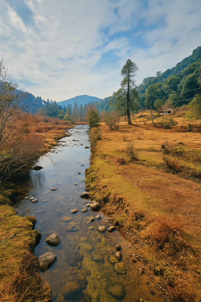 Talley Valley Wildlife Sanctuary