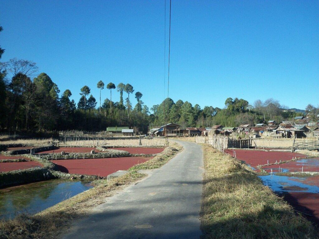 Tarin Fish Farm in Ziro Valley